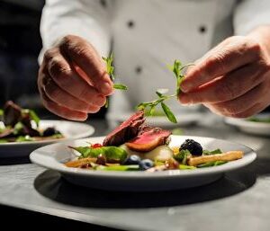 Gastronomia para iniciantes